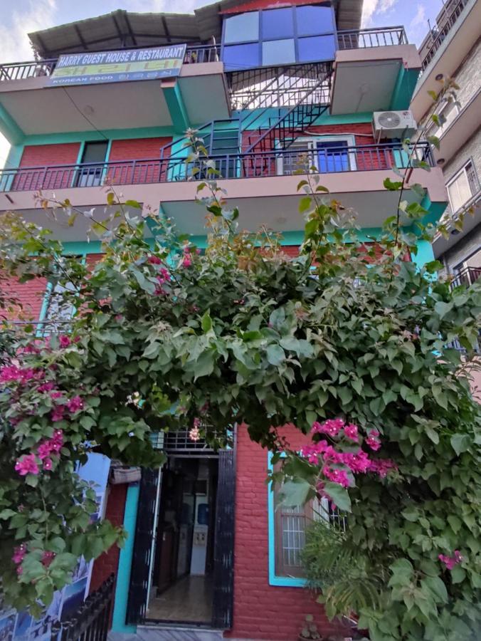 Harry Guest House&Restaurant Pokhara Extérieur photo