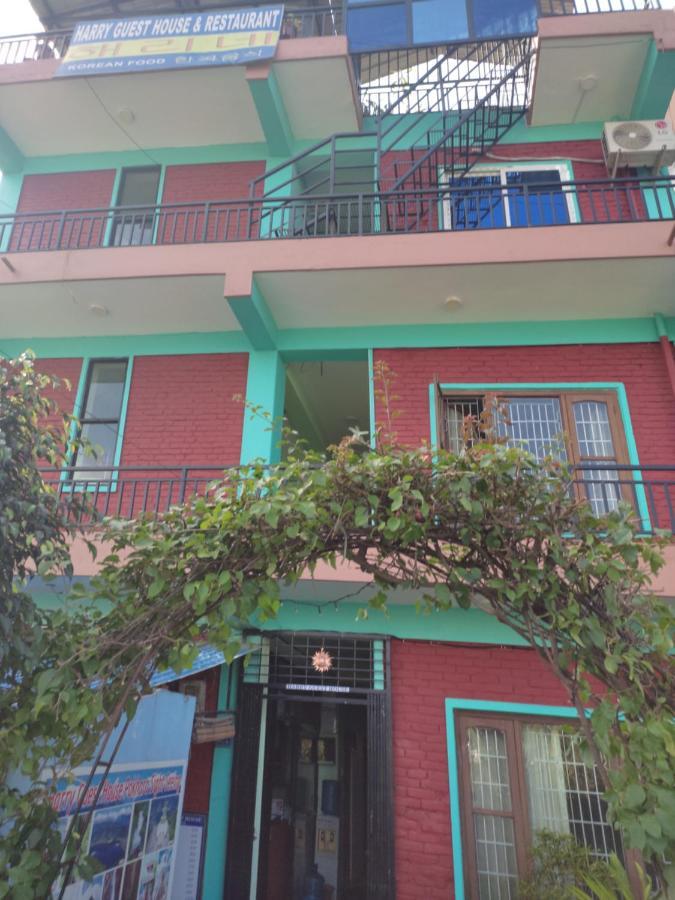 Harry Guest House&Restaurant Pokhara Extérieur photo